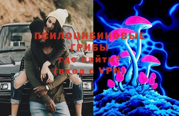 стаф Вязьма
