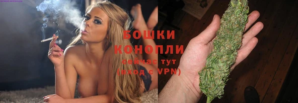 стаф Вязьма