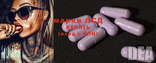 стаф Вязьма