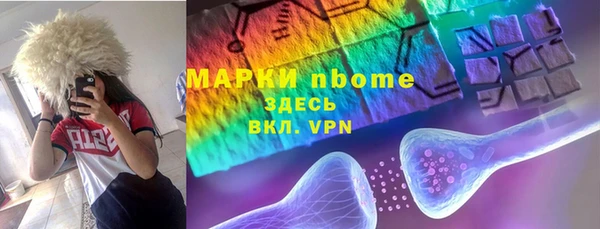 стаф Вязьма