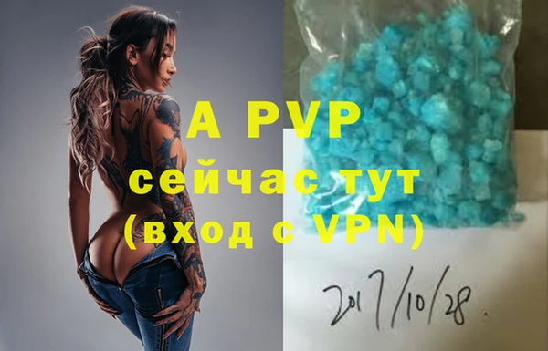 стаф Вязьма